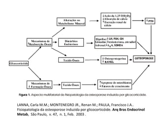 LANNA, Carla M.M.; MONTENEGRO JR., Renan M.; PAULA, Francisco J.A..
Fisiopatologia da osteoporose induzida por glicocorticóide. Arq Bras Endocrinol
Metab, São Paulo, v. 47, n. 1, Feb. 2003 .
 