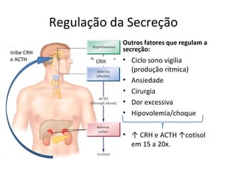 Regulação da Secreção
Outros fatores que regulam a
secreção:
• Ciclo sono vigília
(produção ritmica)
• Ansiedade
• Cirurgia
• Dor excessiva
• Hipovolemia/choque
• ↑ CRH e ACTH ↑cotisol
em 15 a 20x.
CRH
Inibe CRH
e ACTH
 