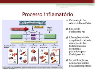 Vanessa Cunha

Processo inflamatório
1) Estimulação das
células inflamatórias
2) Síntese de
Fosfolipase A2
3) Liberação de ácido
araquidônico através
dos ativação dos
fosfolipídeos da
membrana
plasmática pela
Fosfolipase A2
4) Metabolização do
ácido araquidônico
pelas ciclooxigenases

 