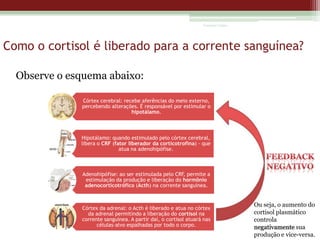 Vanessa Cunha

Como o cortisol é liberado para a corrente sanguínea?
Observe o esquema abaixo:
Córtex cerebral: recebe aferências do meio externo,
percebendo alterações. É responsável por estimular o
hipotálamo.

Hipotálamo: quando estimulado pelo córtex cerebral,
libera o CRF (fator liberador da corticotrofina) - que
atua na adenohipófise.

Adenohipófise: ao ser estimulada pelo CRF, permite a
estimulação da produção e liberação do hormônio
adenocorticotrófico (Acth) na corrente sanguínea.

Córtex da adrenal: o Acth é liberado e atua no córtex
da adrenal permitindo a liberação do cortisol na
corrente sanguínea. A partir daí, o cortisol atuará nas
células-alvo espalhadas por todo o corpo.

Ou seja, o aumento do
cortisol plasmático
controla
negativamente sua
produção e vice-versa.

 