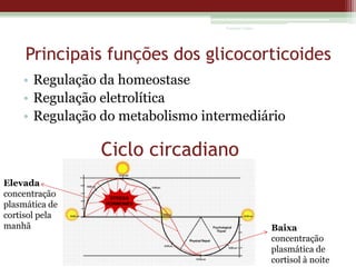 Vanessa Cunha

Principais funções dos glicocorticoides
• Regulação da homeostase
• Regulação eletrolítica
• Regulação do metabolismo intermediário

Ciclo circadiano
Elevada
concentração
plasmática de
cortisol pela
manhã

Baixa
concentração
plasmática de
cortisol à noite

 
