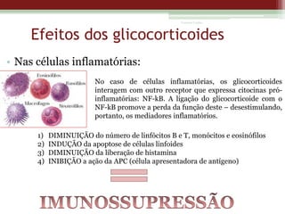 Vanessa Cunha

Efeitos dos glicocorticoides
• Nas células inflamatórias:
No caso de células inflamatórias, os glicocorticoides
interagem com outro receptor que expressa citocinas próinflamatórias: NF-kB. A ligação do glicocorticoide com o
NF-kB promove a perda da função deste – desestimulando,
portanto, os mediadores inflamatórios.
1)
2)
3)
4)

DIMINUIÇÃO do número de linfócitos B e T, monócitos e eosinófilos
INDUÇÃO da apoptose de células linfoides
DIMINUIÇÃO da liberação de histamina
INIBIÇÃO a ação da APC (célula apresentadora de antígeno)

 