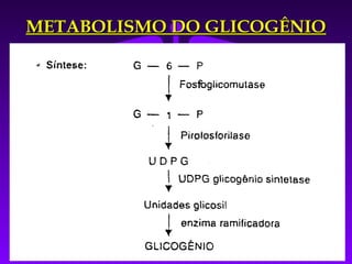 METABOLISMO DO GLICOGÊNIO
 