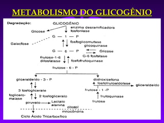 METABOLISMO DO GLICOGÊNIO
 