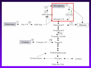 GLICOGENOSE TIPO IX

 Deficiência da fosforilase quinase.

 Tipo IXa: mais freqüente; acomete o fígado;
  herança ligada ao sexo.

 Tipo IXb: semelhante ao tipo IXa; herança
  autossômica recessiva.

 Tipo IXc: comprometimento hepático e muscular;
  herança autossômica recessiva.
 