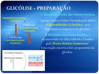 DIHIDROXIACETONA
FOSFATO
2 Moléculas
GLICEROLDEIDO
3 FOSFATO
+
GLICÓLISE - PREPARAÇÃO
Reação
Reversível
2 Moléculas
GLICEROLDEIDO
3 FOSFATO
5. Interconversão das trioses fosfato
Apenas a triose fosfato formada pela aldose
(Gliceraldeído-3-fosfato) será
degradada na sequencia da glicólise.
A Di-hidroxiacetona fosfato, é
reconvertida em Gliceraldeído-3-fosfato
pela Triose fosfato Isomerase.
Esta reação encerra a fase preparatória da
glicólise.
 