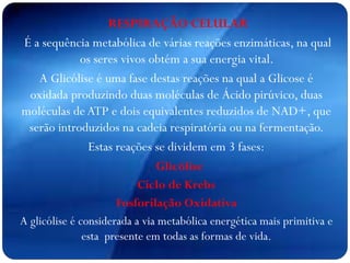 RESPIRAÇÃO CELULAR
É a sequência metabólica de várias reações enzimáticas, na qual
os seres vivos obtém a sua energia vital.
A Glicólise é uma fase destas reações na qual a Glicose é
oxidada produzindo duas moléculas de Ácido pirúvico, duas
moléculas deATP e dois equivalentes reduzidos de NAD+, que
serão introduzidos na cadeia respiratória ou na fermentação.
Estas reações se dividem em 3 fases:
Glicólise
Ciclo de Krebs
Fosforilação Oxidativa
A glicólise é considerada a via metabólica energética mais primitiva e
esta presente em todas as formas de vida.
 