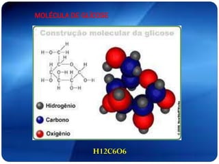 MOLÉCULA DE GLÍCOSE
H12C6O6
 