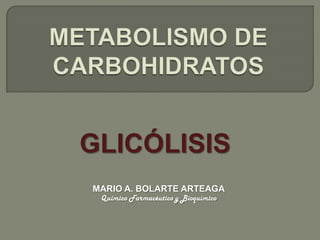 METABOLISMO DE CARBOHIDRATOS GLICÓLISIS MARIO A. BOLARTE ARTEAGA Químico Farmacéutico y Bioquímico 