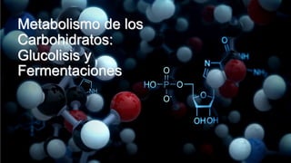 Metabolismo de los
Carbohidratos:
Glucolisis y
Fermentaciones
 