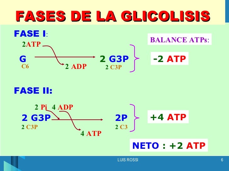 GLUCÓLISIS Y RESPIRACIÓN CELULAR