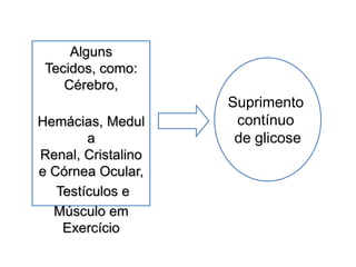 Alguns
Tecidos, como:
Cérebro,
Hemácias, Medul
a
Renal, Cristalino
e Córnea Ocular,
Testículos e
Músculo em
Exercício
Suprimento
contínuo
de glicose
 