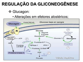 REGULAÇÃO DA GLICONEOGÊNESE
 Glucagon:
• Alterações em efetores alostéricos;
 