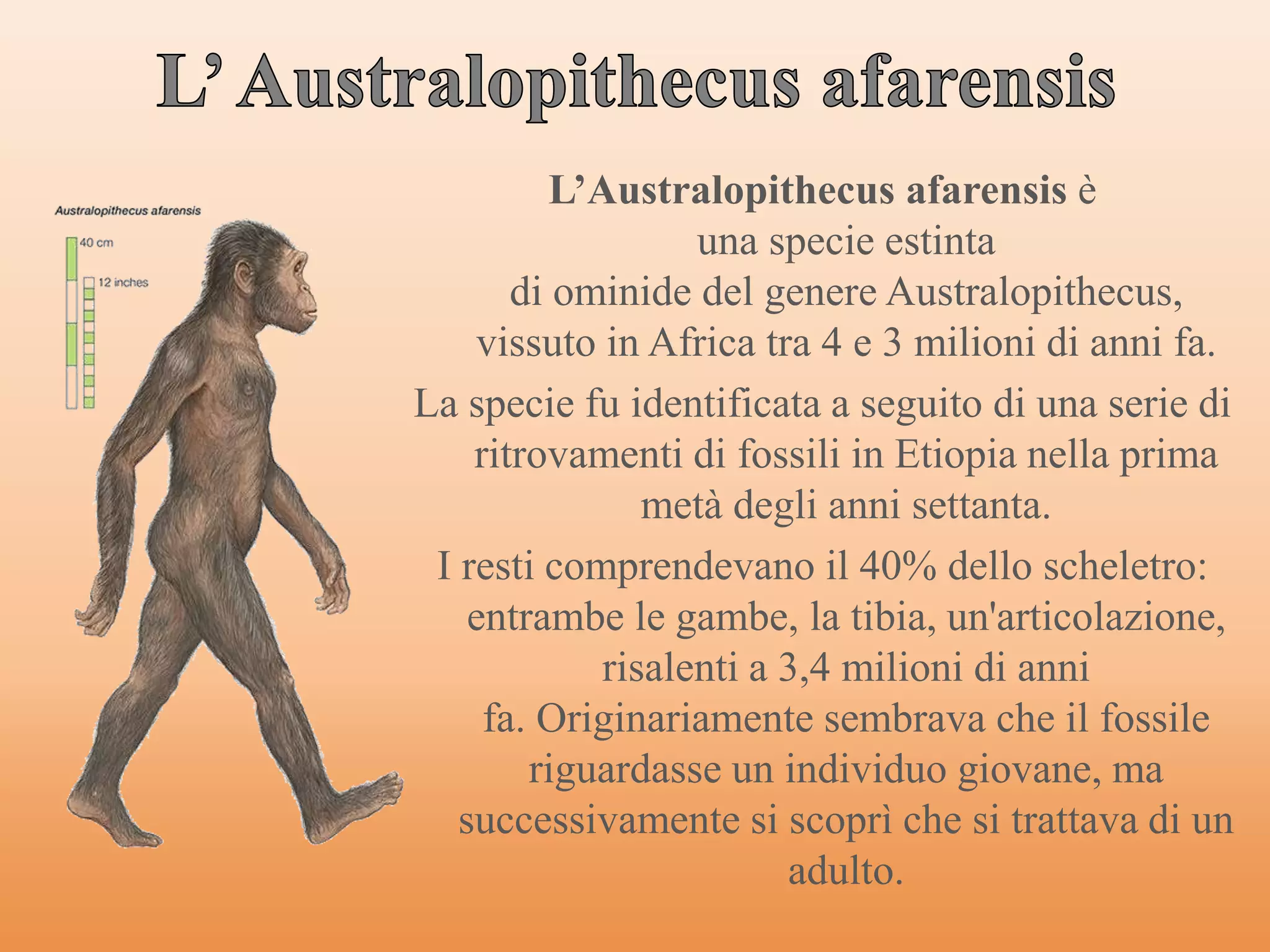 Gli incerti passi di lucy | PPT
