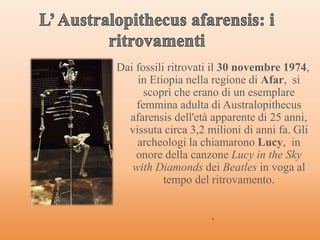 Dai fossili ritrovati il 30 novembre 1974,
in Etiopia nella regione di Afar, si
scoprì che erano di un esemplare
femmina adulta di Australopithecus
afarensis dell'età apparente di 25 anni,
vissuta circa 3,2 milioni di anni fa. Gli
archeologi la chiamarono Lucy, in
onore della canzone Lucy in the Sky
with Diamonds dei Beatles in voga al
tempo del ritrovamento.
.
 