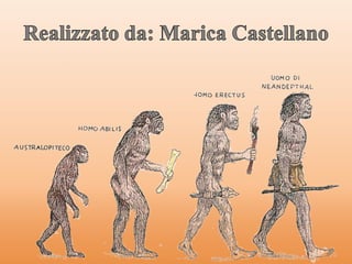 Gli incerti passi di lucy