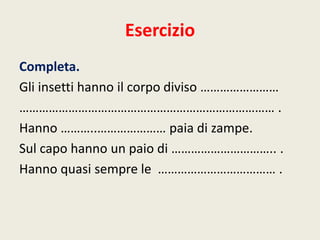 Esercizio
Completa.
Gli insetti hanno il corpo diviso ……………………
…………………………………………………………………… .
Hanno ………..………………… paia di zampe.
Sul capo hanno un paio di ………………………….. .
Hanno quasi sempre le ……………………………… .