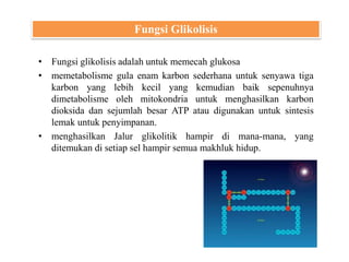 • Fungsi glikolisis adalah untuk memecah glukosa
• memetabolisme gula enam karbon sederhana untuk senyawa tiga
karbon yang lebih kecil yang kemudian baik sepenuhnya
dimetabolisme oleh mitokondria untuk menghasilkan karbon
dioksida dan sejumlah besar ATP atau digunakan untuk sintesis
lemak untuk penyimpanan.
• menghasilkan Jalur glikolitik hampir di mana-mana, yang
ditemukan di setiap sel hampir semua makhluk hidup.
Fungsi Glikolisis
 