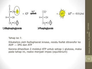 Tahap ke 7.
Dikatalisis oleh fosfogliserat kinase, residu fosfat ditransfer ke
ADP → 3PG dan ATP
Karena dihasilkan 2 molekul ATP untuk setiap 1 glukosa, maka
pada tahap ini, reaksi menjadi impas (equilibrium)
3/27/2022
Sri
Wahyuni_Biokimia_FK_UNIMAL
13
 
