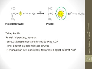 Tahap ke 10
Reaksi ini penting, karena:
- piruvat kinase mentransfer residu P ke ADP
- enol piruvat diubah menjadi piruvat
-Menghasilkan ATP dari reaksi fosforilasi tingkat subtrat ADP
3/27/2022
Sri
Wahyuni_Biokimia_FK_UNIMAL
16
 