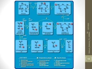 3/27/2022
Sri
Wahyuni_Biokimia_FK_UNIMAL
18
 
