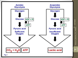 3/27/2022
Sri
Wahyuni_Biokimia_FK_UNIMAL
24
 