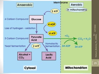 3/27/2022
Sri
Wahyuni_Biokimia_FK_UNIMAL
25
 