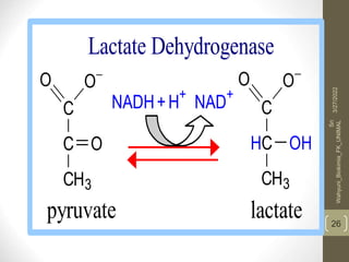 26
C
C
CH3
O
O
O
C
HC
CH3
O
OH
O
NADH+H+
NAD+
Lactate Dehydrogenase
pyruvate lactate
3/27/2022
Sri
Wahyuni_Biokimia_FK_UNIMAL
 