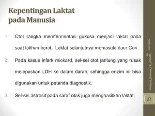 Kepentingan Laktat
pada Manusia
1. Otot rangka memfermentasi gukosa menjadi laktat pada
saat latihan berat. Laktat selanjutnya memasuki daur Cori.
2. Pada kasus infark miokard, sel-sel otot jantung yang rusak
melepaskan LDH ke dalam darah, sehingga enzim ini bisa
digunakan untuk petanda diagnostik.
3. Sel-sel astrosit pada saraf otak juga menghasilkan laktat.
27
3/27/2022
Sri
Wahyuni_Biokimia_FK_UNIMAL
 