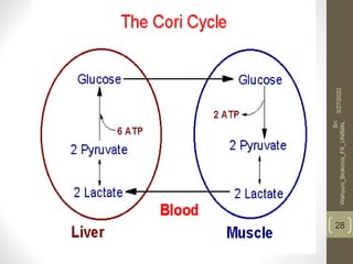 28
3/27/2022
Sri
Wahyuni_Biokimia_FK_UNIMAL
 