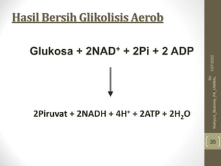 Hasil Bersih Glikolisis Aerob
Glukosa + 2NAD+ + 2Pi + 2 ADP
2Piruvat + 2NADH + 4H+ + 2ATP + 2H2O
35
3/27/2022
Sri
Wahyuni_Biokimia_FK_UNIMAL
 