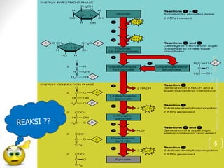 3/27/2022
Sri
Wahyuni_Biokimia_FK_UNIMAL
5
 