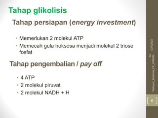 Tahap pengembalian / pay off
• Memerlukan 2 molekul ATP
• Memecah gula heksosa menjadi molekul 2 triose
fosfat
Tahap persiapan (energy investment)
• 4 ATP
• 2 molekul piruvat
• 2 molekul NADH + H
3/27/2022
Sri
Wahyuni_Biokimia_FK_UNIMAL
6
Tahap glikolisis
 