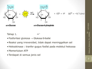 Tahap 1.
• Fosforilasi glukosa → Glukosa 6-fosfat
• Reaksi yang irreversibel, tidak dapat meninggalkan sel
• Heksokinase : tranfer gugus fosfat pada molekul heksosa
• Memerlukan ATP
• Terdapat di semua jenis sel
3/27/2022
Sri
Wahyuni_Biokimia_FK_UNIMAL
7
 