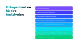 1) Sturuktur funksiyası-Kollagen
2)Suvaşqanlaşdırıcı və qoruyucu agent- Mutsin
3) Transport molekulu- transferrin, seruloplazmin
4) İmmun sistem molekulu- İmmunoglobulun, histouyğunluq molekulu
5) Hormon- insan xoryonik gonodotropin, tiroid stimulə edici hormon
6) Katalitik- məsələn alkalen fosfataza
7) Hüceyrə bağlanması və tanınması bölgəsi- Çeşitli hüceyrə-hüceyrə (sperm- oosit),
virus-hüceyrə, bakteriya-hüceyrə, hormon-hüceyrə əlaqələnməsində funksiya yerinə
yetirən proteinlər
8)Antifriz- Soyuq su balıqlarının plazmaproteinləri
 