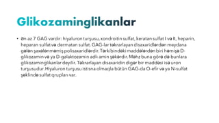 • Ən az 7 GAG vardır: hiyaluron turşusu,xondroitin sulfat, keratan sulfat I və II, heparin,
heparan sulfat və dermatan sulfat.GAG-lar təkrarlayan disaxaridlərdən meydana
gələn şaxələnməmiş polisaxaridlərdir.Tərkibindəkimaddələrdən biri həmişə D-
glikozamin və ya D-galaktozamin adlı amin şəkərdir.Məhz buna görə də bunlara
glikozaminglikanlar deyilir.Təkrarlayan disaxaridin digər bir maddəsi isə uron
turşusudur.Hiyaluron turşusu istisna olmaqla bütün GAG-da O-efir və ya N-sulfat
şəklində sulfat qrupları var.
 