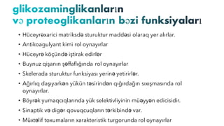 • Hüceyrəxarici matriksdə sturuktur maddəsi olaraq yer alırlar.
• Antikoagulyant kimi rol oynayırlar
• Hüceyrə köçündə iştirak edirlər
• Buynuz qişanın şəffaflığında rol oynayırlar
• Skelerada sturuktur funksiyası yerinə yetirirlər.
• Ağırlıq daşıyarkən yükün təsirindən qığırdağın sıxışmasında rol
oynayırlar.
• Böyrək yumaqcıqlarında yük selektivliyinin müəyyən edicisidir.
• Sinaptik və digər qovuqcuqların tərkibində var.
• Müxtəlif toxumaların xarakteristik turgorunda rol oynayırlar
 