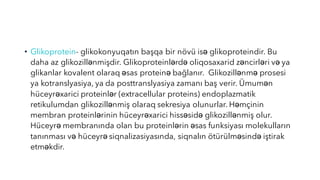 • Glikoprotein- glikokonyuqatın başqa bir növü isə glikoproteindir. Bu
daha az glikozillənmişdir. Glikoproteinlərdə oliqosaxarid zəncirləri və ya
glikanlar kovalent olaraq əsas proteinə bağlanır. Glikozillənmə prosesi
ya kotranslyasiya, ya da posttranslyasiya zamanı baş verir. Ümumən
hüceyrəxarici proteinlər (extracellular proteins) endoplazmatik
retikulumdan glikozillənmiş olaraq sekresiya olunurlar. Həmçinin
membran proteinlərinin hüceyrəxarici hissəsidə glikozillənmiş olur.
Hüceyrə membranında olan bu proteinlərin əsas funksiyası molekulların
tanınması və hüceyrə siqnalizasiyasında, siqnalın ötürülməsində iştirak
etməkdir.
 