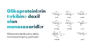 Glikoproteinlərdə yalnız səkkiz
monosaxarid geniş yayılmışdır.
 
