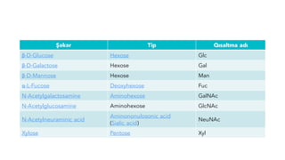 Şəkər Tip Qısaltma adı
β-D-Glucose Hexose Glc
β-D-Galactose Hexose Gal
β-D-Mannose Hexose Man
α-L-Fucose Deoxyhexose Fuc
N-Acetylgalactosamine Aminohexose GalNAc
N-Acetylglucosamine Aminohexose GlcNAc
N-Acetylneuraminic acid
Aminononulosonic acid
(Sialic acid)
NeuNAc
Xylose Pentose Xyl
 