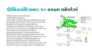 Glikozilasiya prosesi sekresiya
edilən və hüceyrəxarici
proteinlərin posttranslyasiyamodifikasiyasının ən
geniş yayılmış formasıdır. Bu proses bir çox fərqli
tip qlikanların kovalent olaraq proteinə
bağlanmasını əhatə edir. Glikanların amin turşu
yan zəncirinin hansı atomuna bağlanmasından asılı
olaraq glikozilasiya prosesini iki böyük
kateqoriyaya ayırırlar: N-glikozilasiya və O-
glikozilasiya. N-glikozilasiyada glikanlar Asn-Pro-
Ser/Tre amin turşu ardıcıllığının yan zəncirinin azot
atomlarına birləşirlər. O-glikozilasiyada isə
glikanlar hidroksil qrupuna malik olan amin
turşulardan daha çox serin, treoninin yan zəncirinin
hidroksil qrupunun oksigen atomuna bağlanırlar.
 