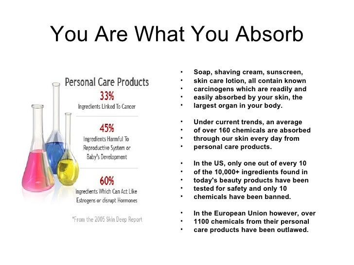 you what absorb Absorb! Pp You What Are Glimpse You