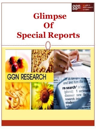 Glimpse
Of
Special Reports
 