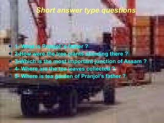 Short answer type questions   <ul><li>1- What is Pranjol ‘s father ?  </li></ul><ul><li>2-How were the tree plants standin...