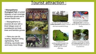 Tourist attraction :
• Nisargadhama
Ecological Park is tucked
between a lush coverage
of bamboo groves and a
serene Kaveri...