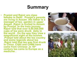 Summary   <ul><li>Pranjol and Rajvir are class fellows in Delhi . Pranjol’s parents are living in Assam .His father is a m...