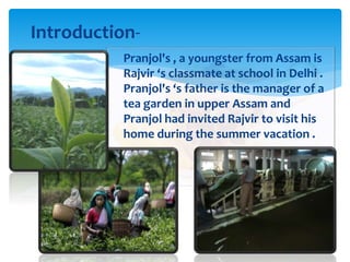  Pranjol and Rajvir are class fellows in Delhi .
Pranjol’s parents are living in Assam . His
father is a manager of tea –...