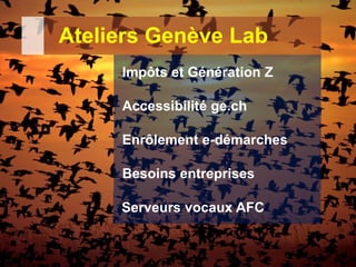 Ateliers Genève Lab
Impôts et Génération Z
Accessibilité ge.ch
Enrôlement e-démarches
Besoins entreprises
Serveurs vocaux AFC
 