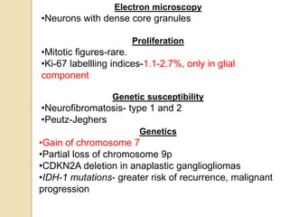 Electron microscopy
•Neurons with dense core granules
Proliferation
•Mitotic figures-rare.
•Ki-67 labellling indices-1.1-2.7%, only in glial
component
Genetic susceptibility
•Neurofibromatosis- type 1 and 2
•Peutz-Jeghers
Genetics
•Gain of chromosome 7
•Partial loss of chromosome 9p
•CDKN2A deletion in anaplastic gangliogliomas
•IDH-1 mutations- greater risk of recurrence, malignant
progression
 