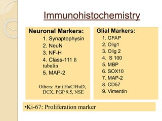 Immunohistochemistry
Neuronal Markers:
1. Synaptophysin
2. NeuN
3. NF-H
4. Class-111 ß
tubulin
5. MAP-2
Others: Anti HuC/HuD,
DCX, PGP 9.5, NSE
Glial Markers:
1. GFAP
2. Olig1
3. Olig 2
4. S 100
5. MBP
6. SOX10
7. MAP-2
8. CD57
9. Vimentin
•Ki-67: Proliferation marker
 